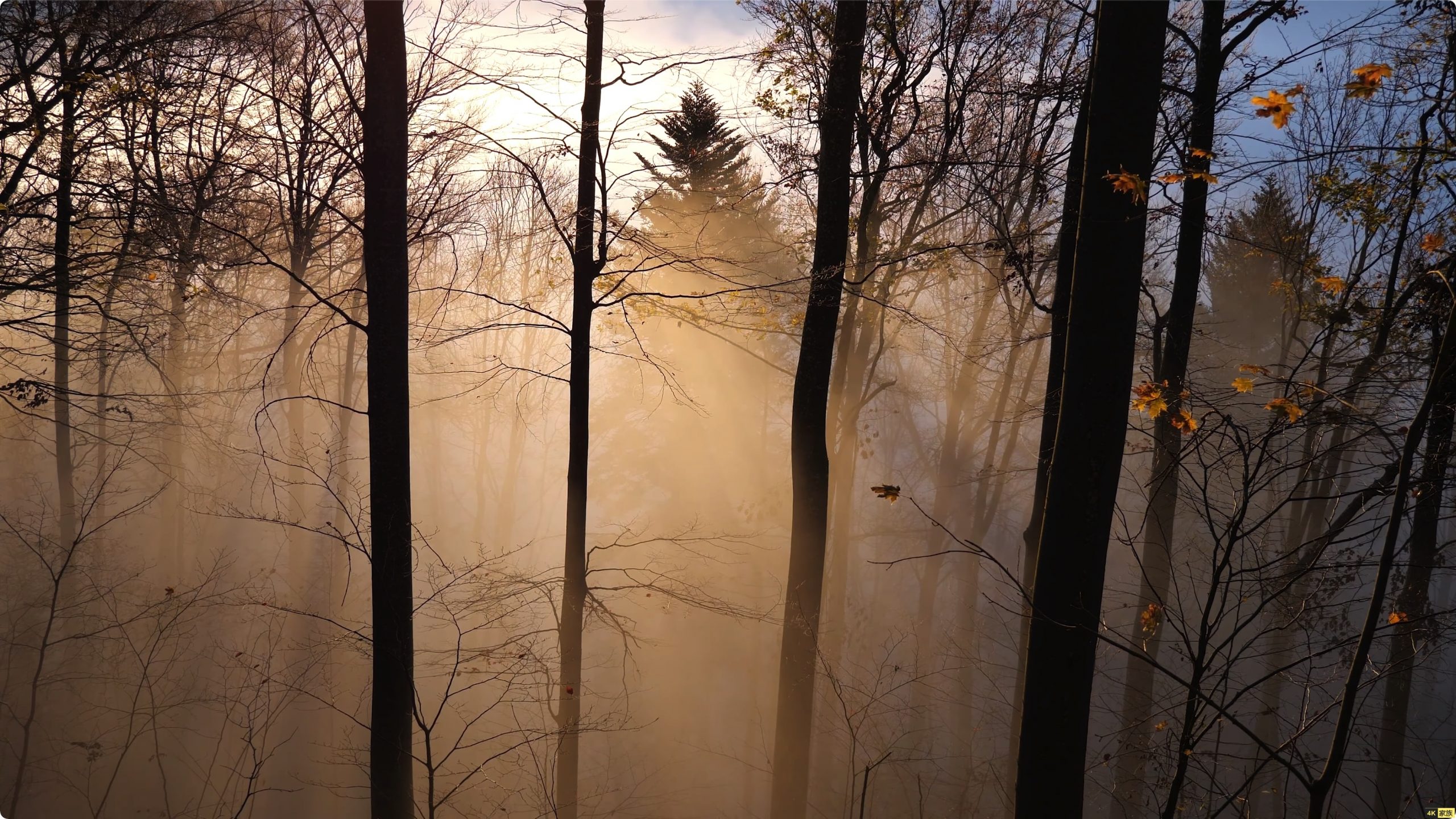 索尼演示 4K视频世界 60FPS 第4张 索尼演示 4K视频世界 60FPS 第4张