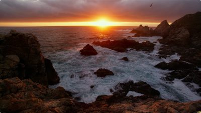 夜晚的自然之光 4K