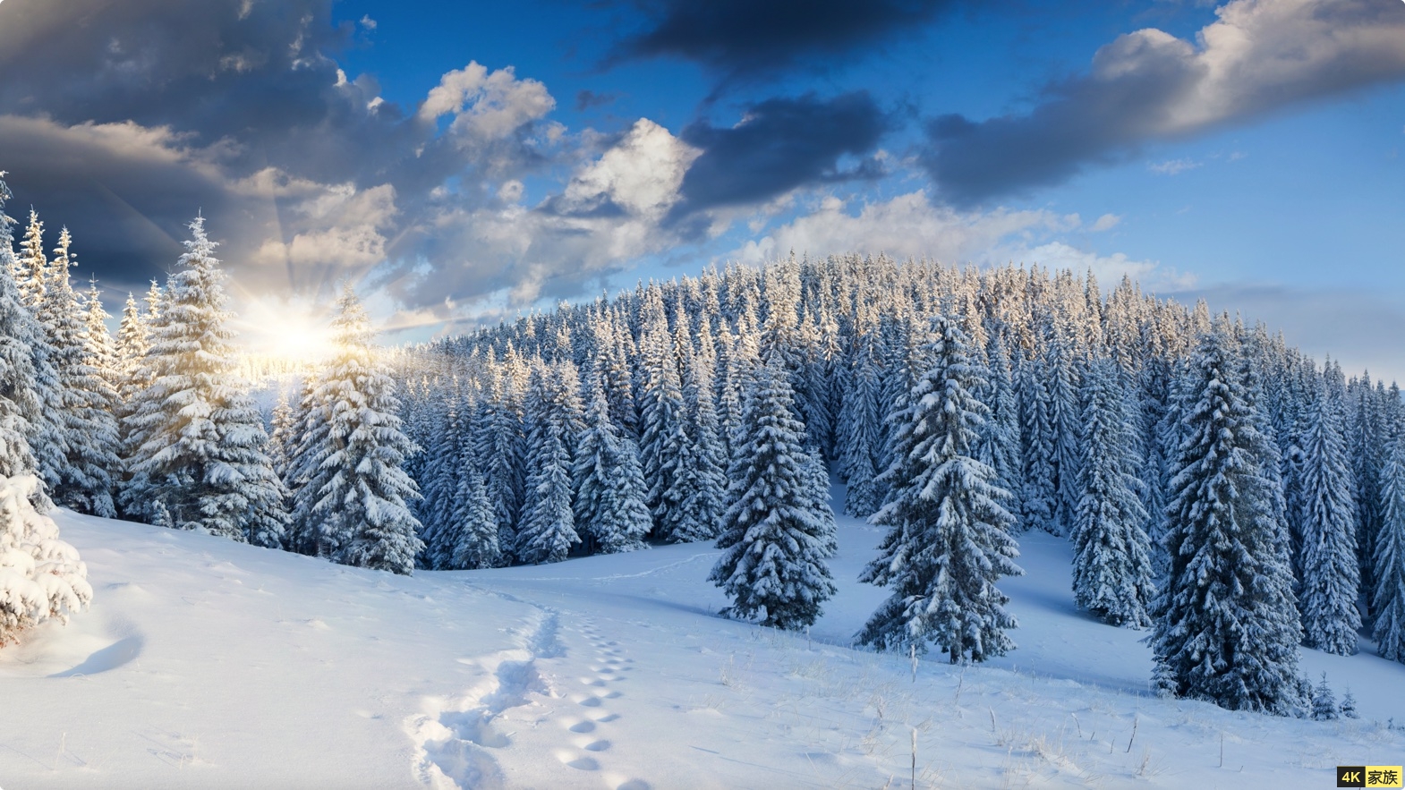4K雪景壁纸 送给喜欢雪的你 第4张 4K雪景壁纸 送给喜欢雪的你 第4张
