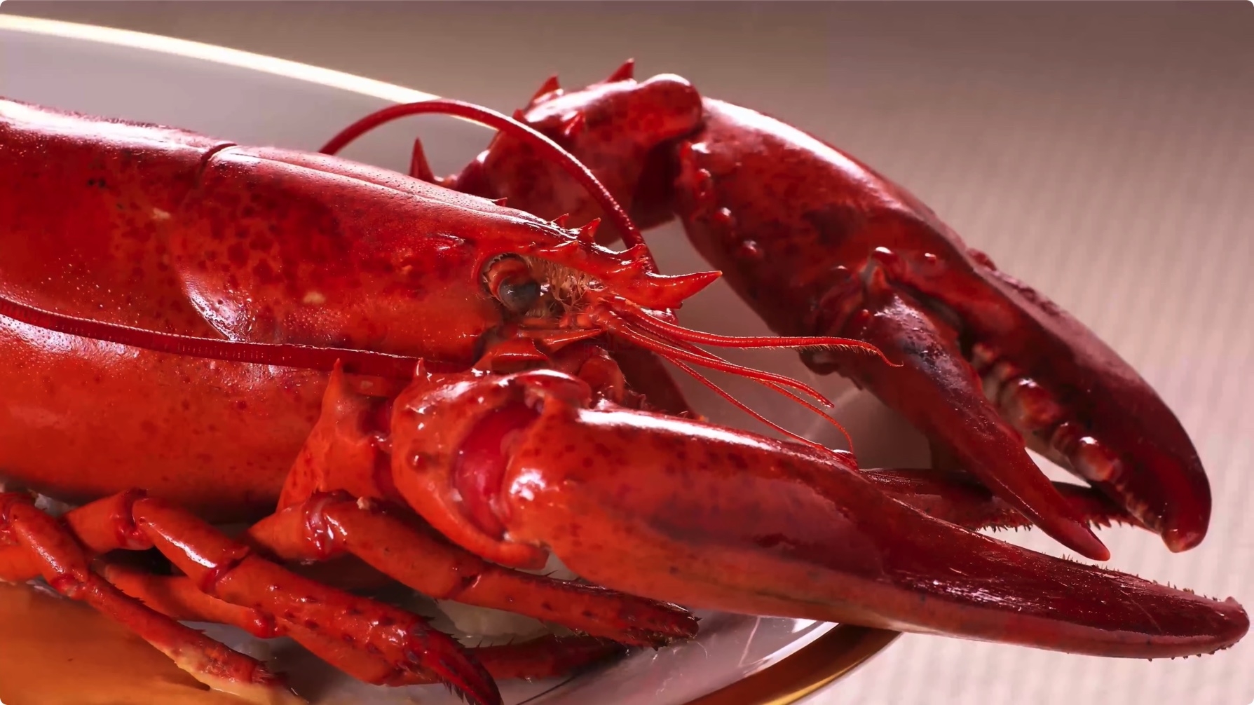 龙虾煎牛扒甜品美食短视频素材必备 4K画质货真价实 第3张 龙虾煎牛扒甜品美食短视频素材必备 4K画质货真价实 第3张