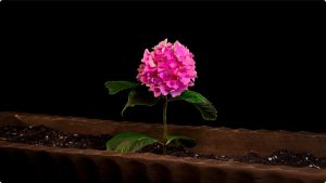 iShot_2022-10-08_11.50.21