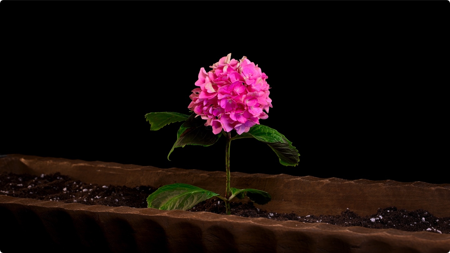 HDR演示视频 全彩 8k 60fps 杜比视界 超高清 第3张 HDR演示视频 全彩 8k 60fps 杜比视界 超高清 第3张