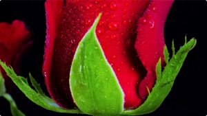 iShot_2022-11-30_21.34.02