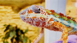 iShot_2022-12-06_08.27.12