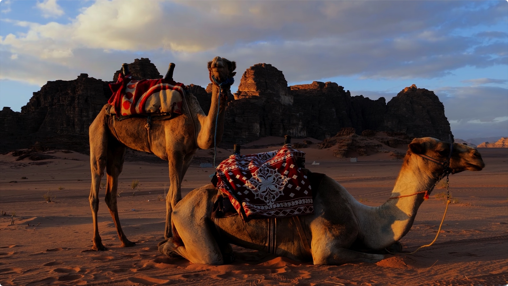 8K视频 HDR 60fps杜比视觉⭐ 彩色动态⭐ 演示下载 第2张 8K视频 HDR 60fps杜比视觉⭐ 彩色动态⭐ 演示下载 第2张