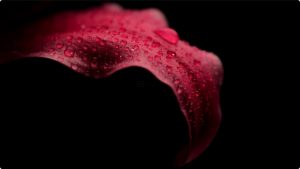 iShot_2023-02-09_11.11.44