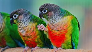 iShot_2023-05-14_21.54.32