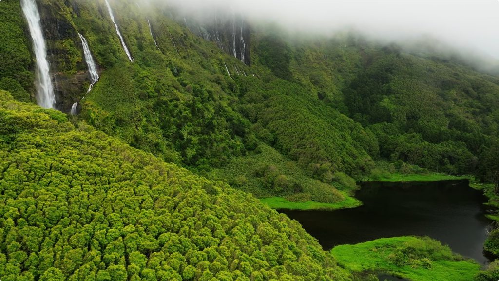 8k HDR 60FPS  最佳杜比视觉世界演示片 杜比音乐  4K家族首发 第5张 8k HDR 60FPS  最佳杜比视觉世界演示片 杜比音乐  4K家族首发 第5张