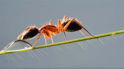 4K显示器测试视频  4K HDR 60 FPS 为您的眼睛带来视觉盛宴