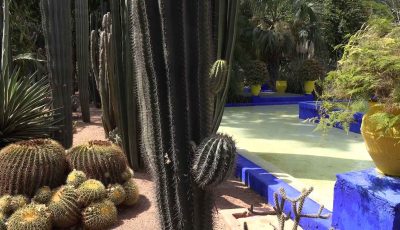 4K分辨率 摩洛哥马拉喀什马若雷勒花园