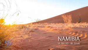 [4K高清视频]AFRICA – Namibia 4K素材 (2)