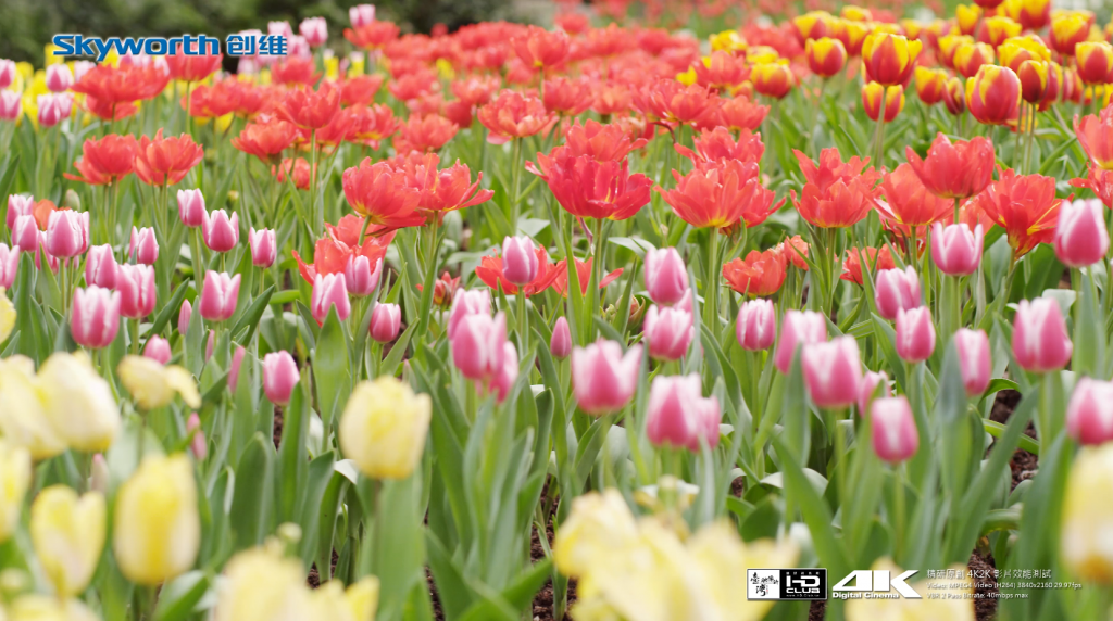 4K桃源仙谷 高清片段 第3张 4K桃源仙谷 高清片段 第3张