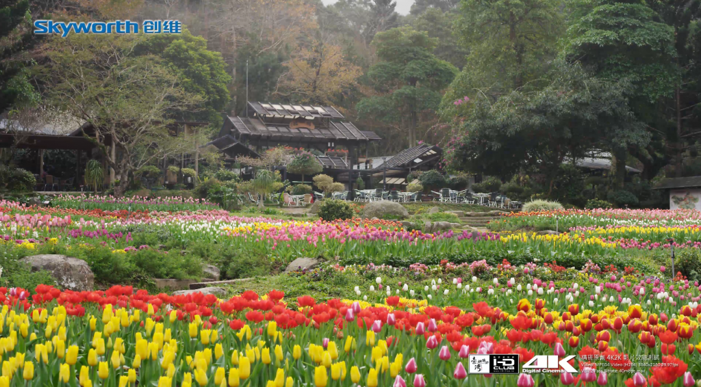 4K桃源仙谷 高清片段 第2张