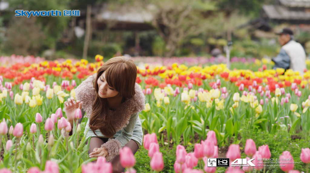 4K桃源仙谷 高清片段 第1张